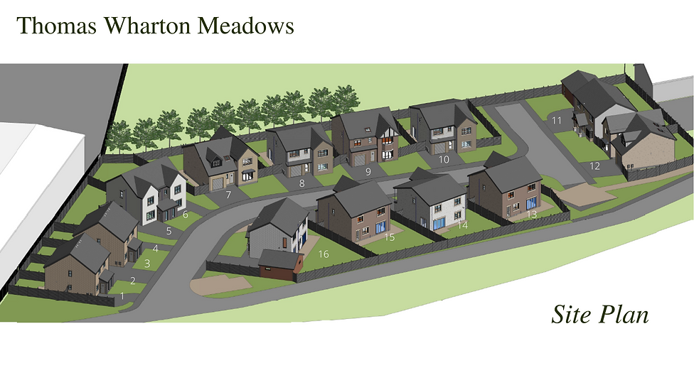 Master Kirkby Stephen Site Plan (1).png