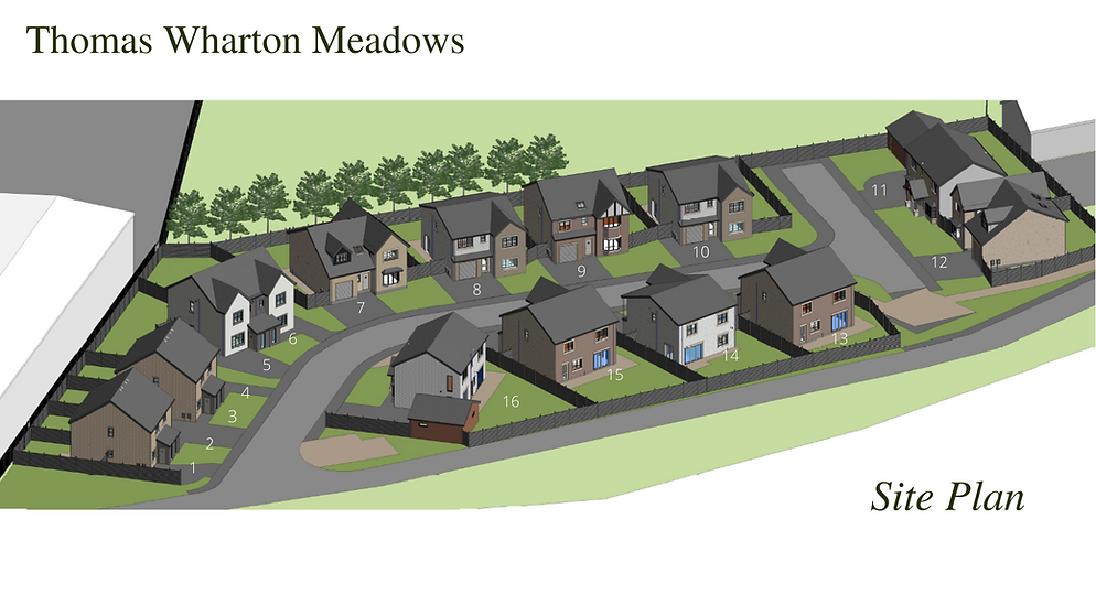 Master Kirkby Stephen Site Plan (1).png