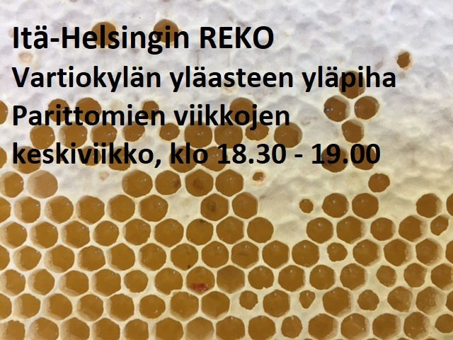 REKO ITÄ-HELSINKI, pickup only!  L