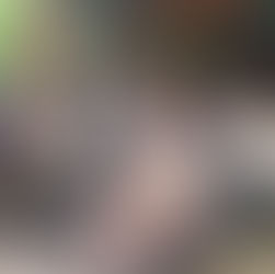 Soja Edamame mostra resiliência e potencial econômico como cultura de verão em Magé