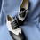 Thumbnail: Lester Oxford Shoes - Black & White