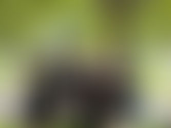 Cuando un equipo baila al mismo ritmo 🌟