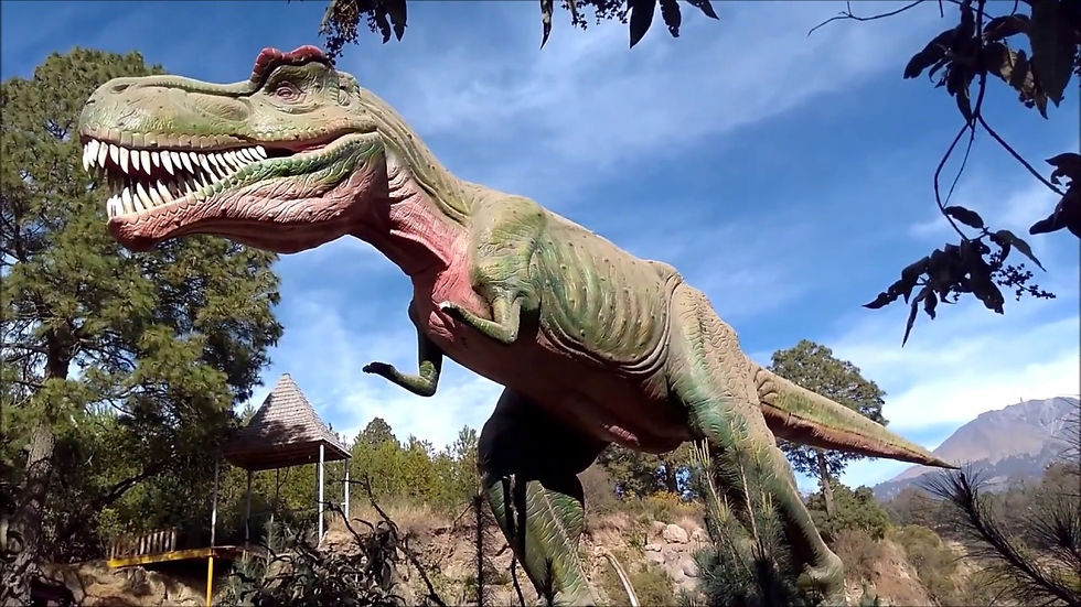 Miniatura: Volcanic Park + Africam Safari + Val'quirico (2 días)