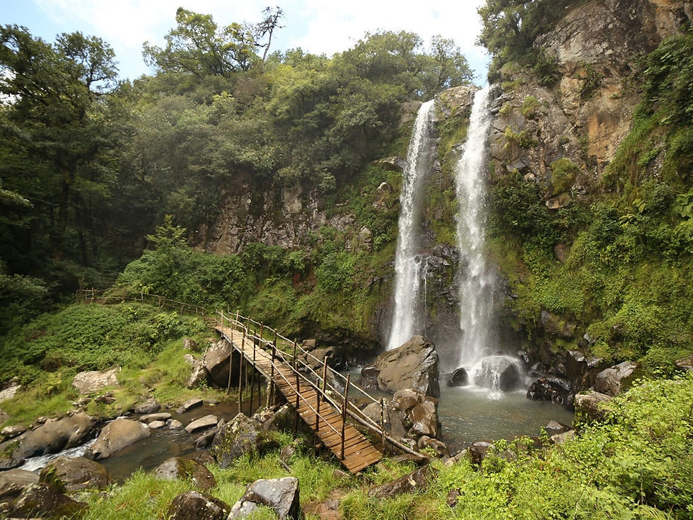 Miniatura: Cascadas Paraíso (Honey Puebla) + Pahuatlán