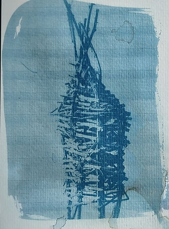 bramble cage 3 cyanotype.jpg