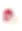 AUSPRE_Logo-2_FC_CMYK_1701255989.jpg.webp