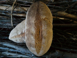 27786065_10155952989540915_728962905_o