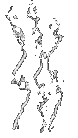 output-onlinegiftools (1).gif