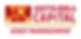 Aditya Birla Capital Asset Management logo