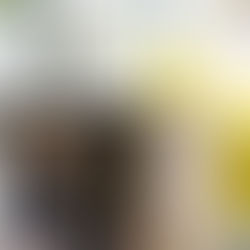 Para pais e filhos: como aprender a se controlar frente a brigas e outras situações de conflito