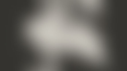 Volver al océano: la rueda del zodíaco como viaje del alma