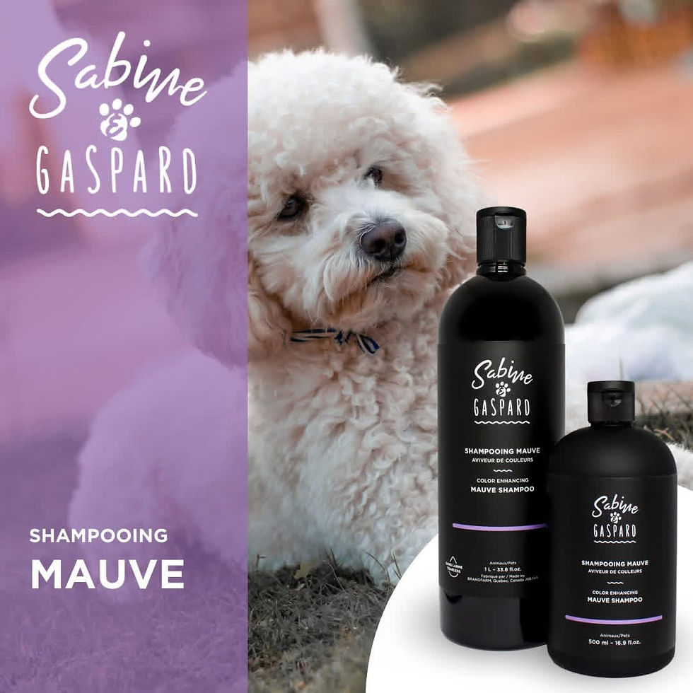 Miniature : Shampooing Mauve - Aviveur de couleurs 1L