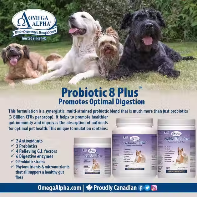 Miniature : Probiotic 8 Plus - 310g
