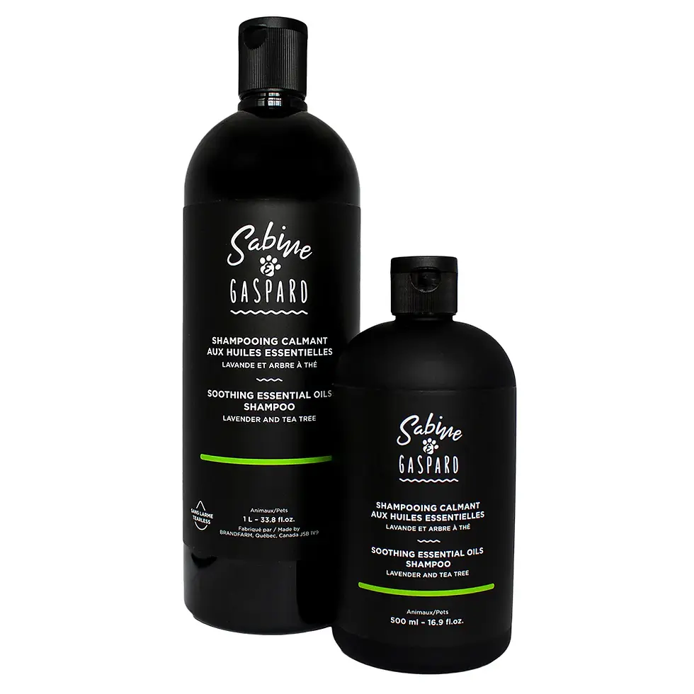 Thumbnail: Calming Shampoo - Lavender & Tea Tree 1L