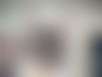 Abbie Maine Coon Black Smoke Tortie qui se demande pourquoi les chats aiment mastiquer