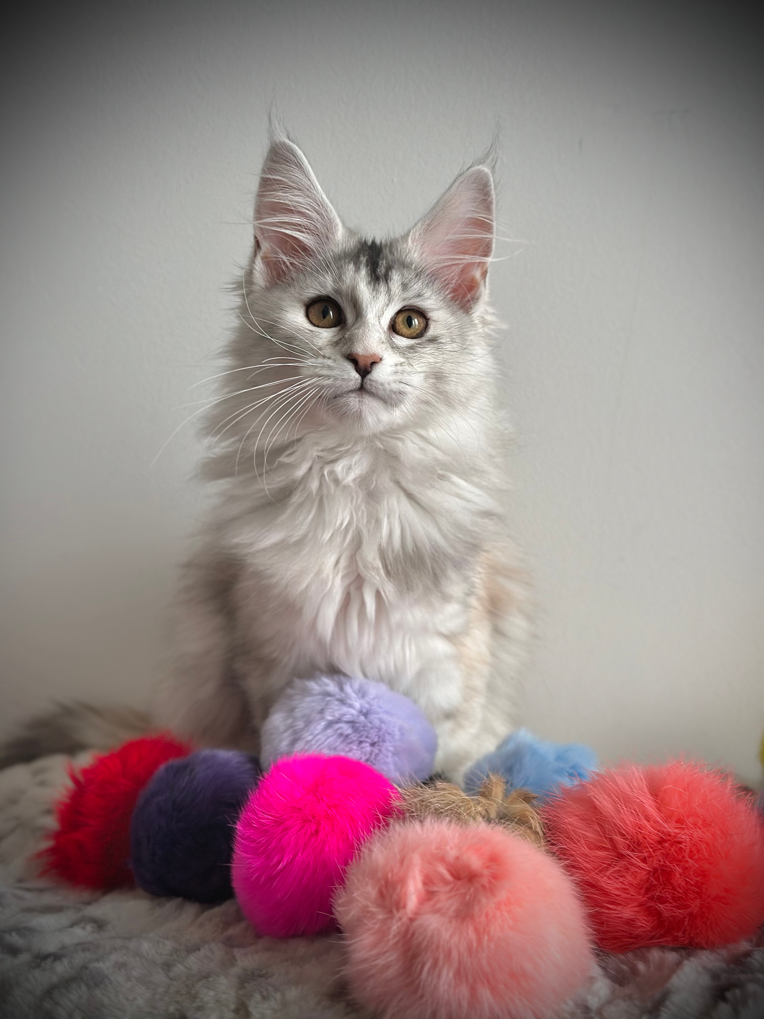 Balles de fourrure de lapin 