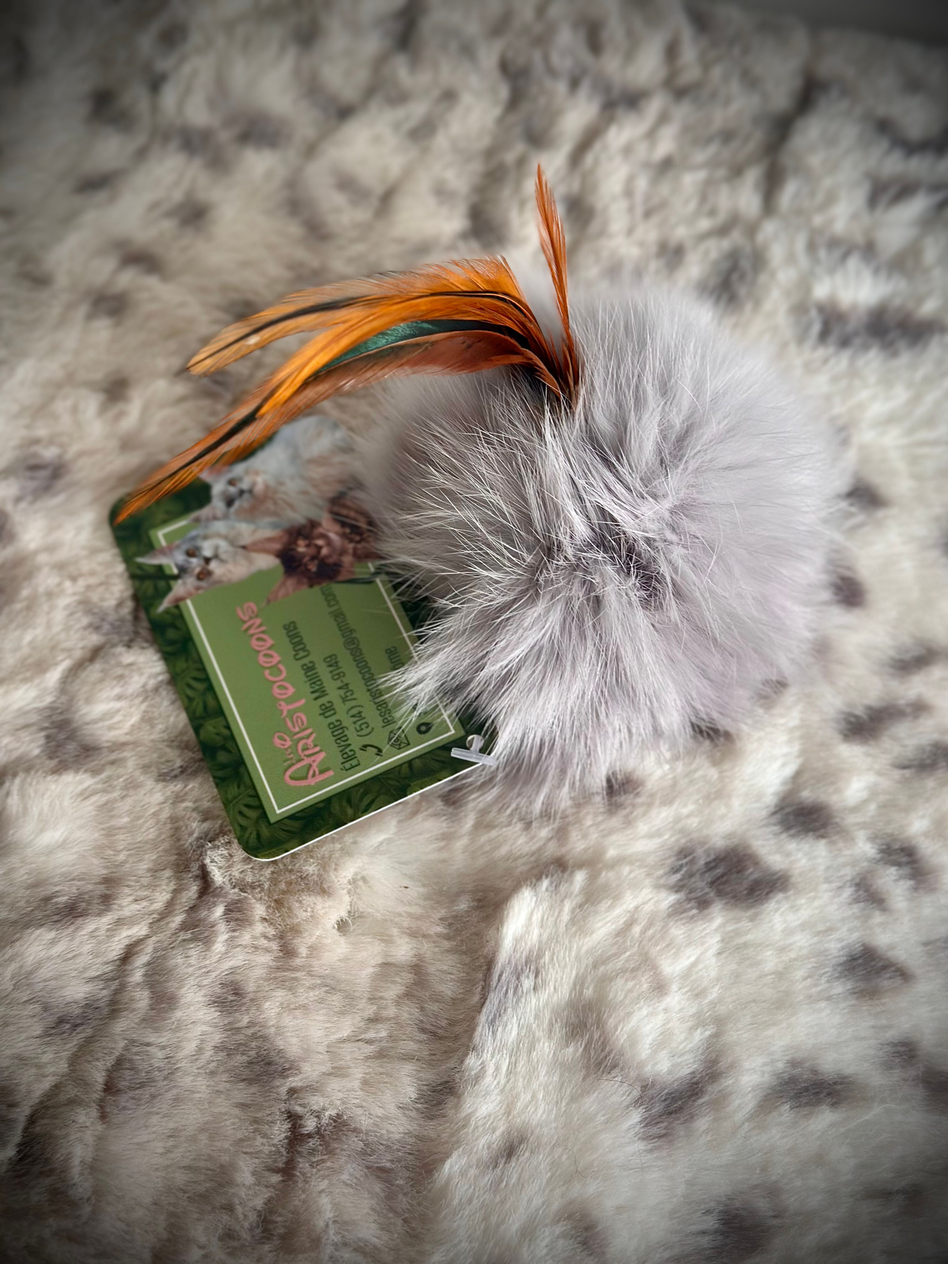 Queues de lapin à plumes