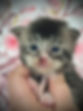 IMG_8898.JPEG