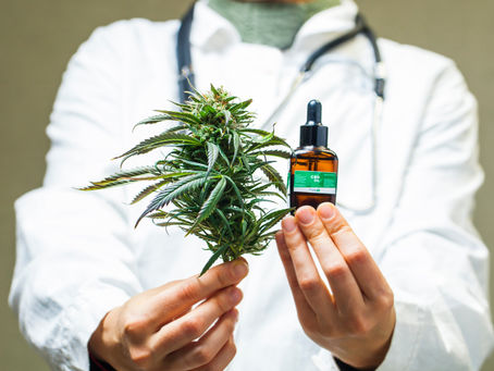 O que a Ciência Diz Sobre Cannabis Medicinal?