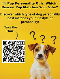 take-the-quizz.jpg