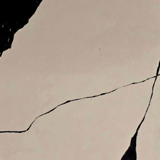 Painting black and White on canvas