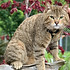 457dee6f-4eca-4bf5-9373-cc67a39fcc77.jpg
