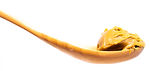 lotus1.jpg