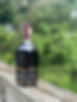 IMG_6519.jpeg
