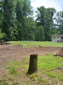Tree clearing of site before garage build
