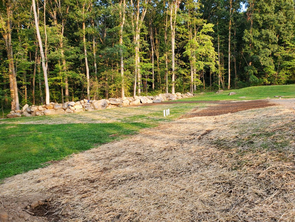 Finalized tree clearing site prep