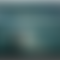 Silouette pointing at night sky with quote "Wonder is the Beginning of Wisdom" by Socrates