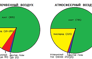 Состав почвенного и атмосферного воздуха