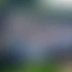 路徑地圖及手冊