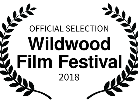 Blog Archive 2018: Jenna Cornell's 'Words' premieres at the Wildwood Film Festival in Appleton