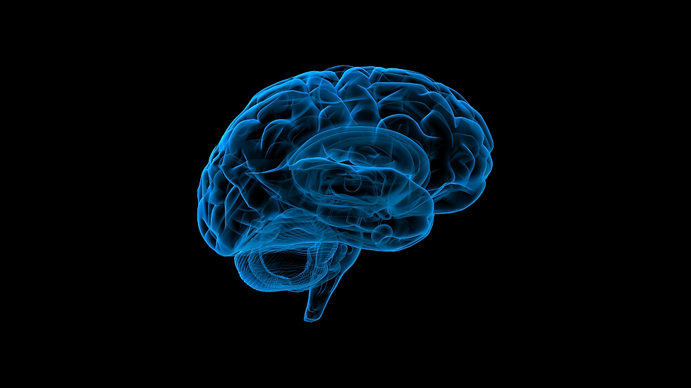 cerebro en equilibrio.png