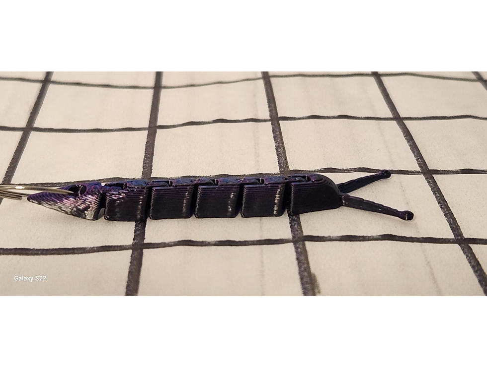 Thumbnail: Moveable Slug