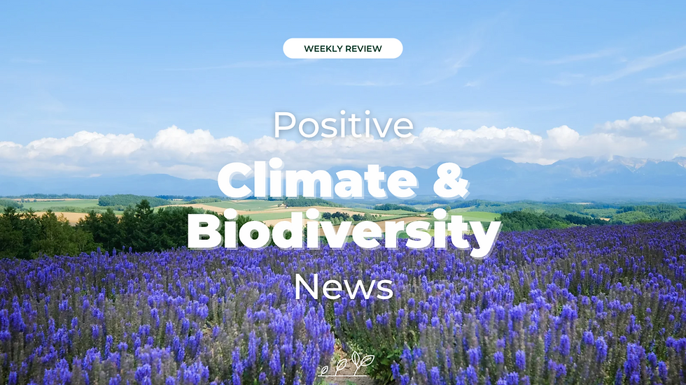 Positive Climate & Biodiversity News Week 9