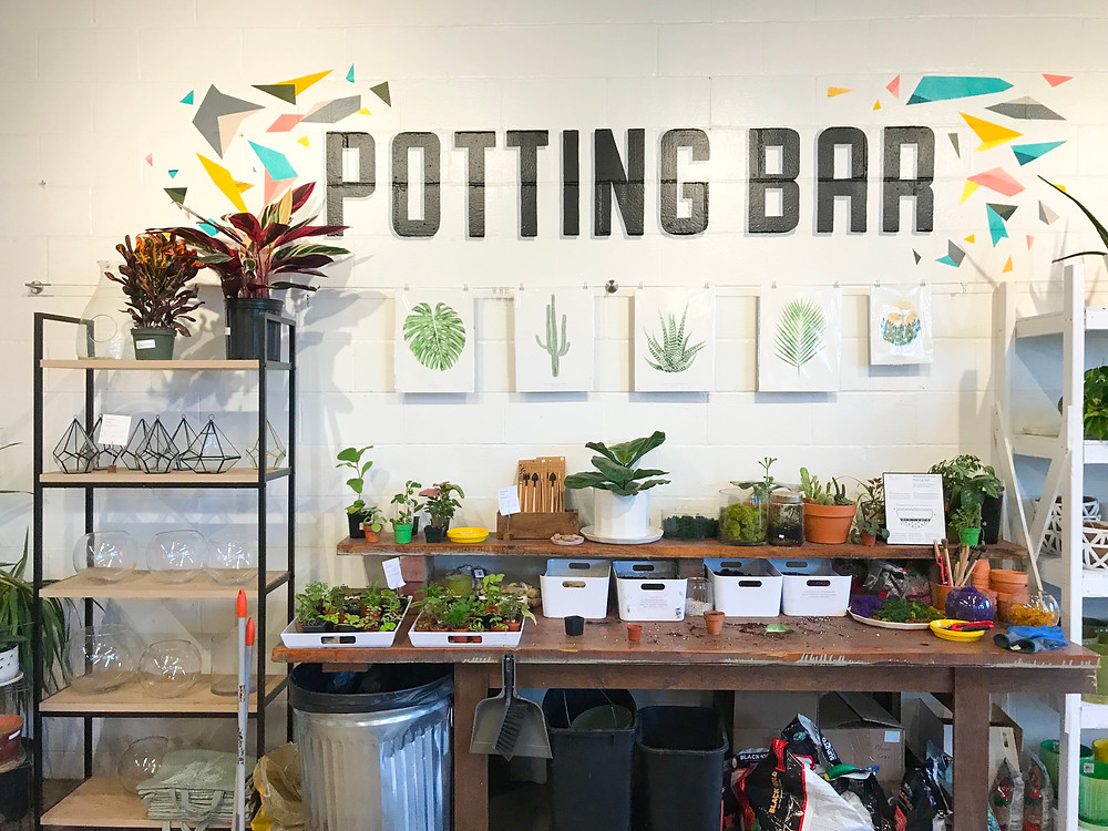 Plant store in Des Moines, Iowa