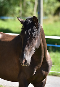 DSC_9667.JPG