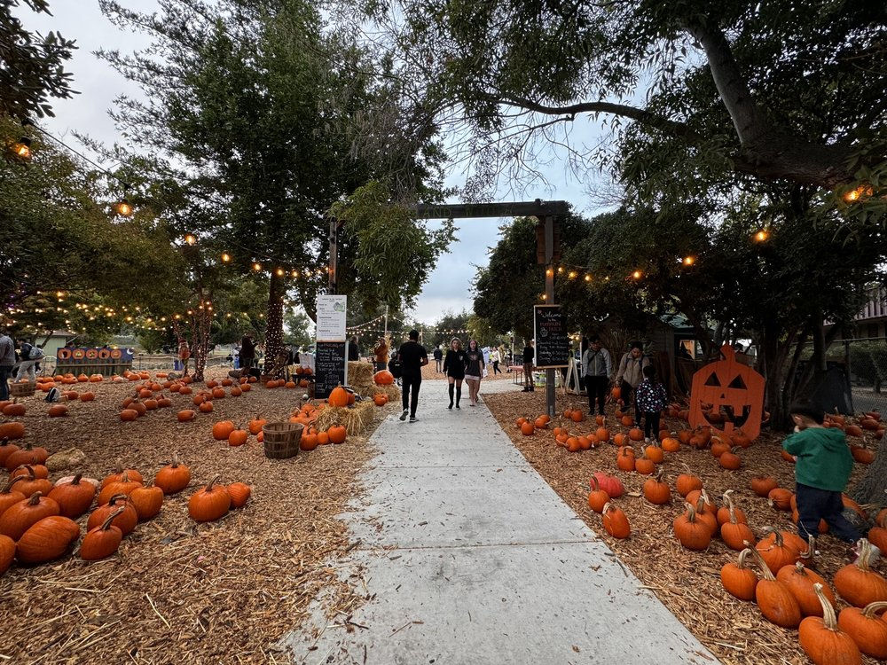 Grimm’s Hollow: A Haunted Family Friendly Experience