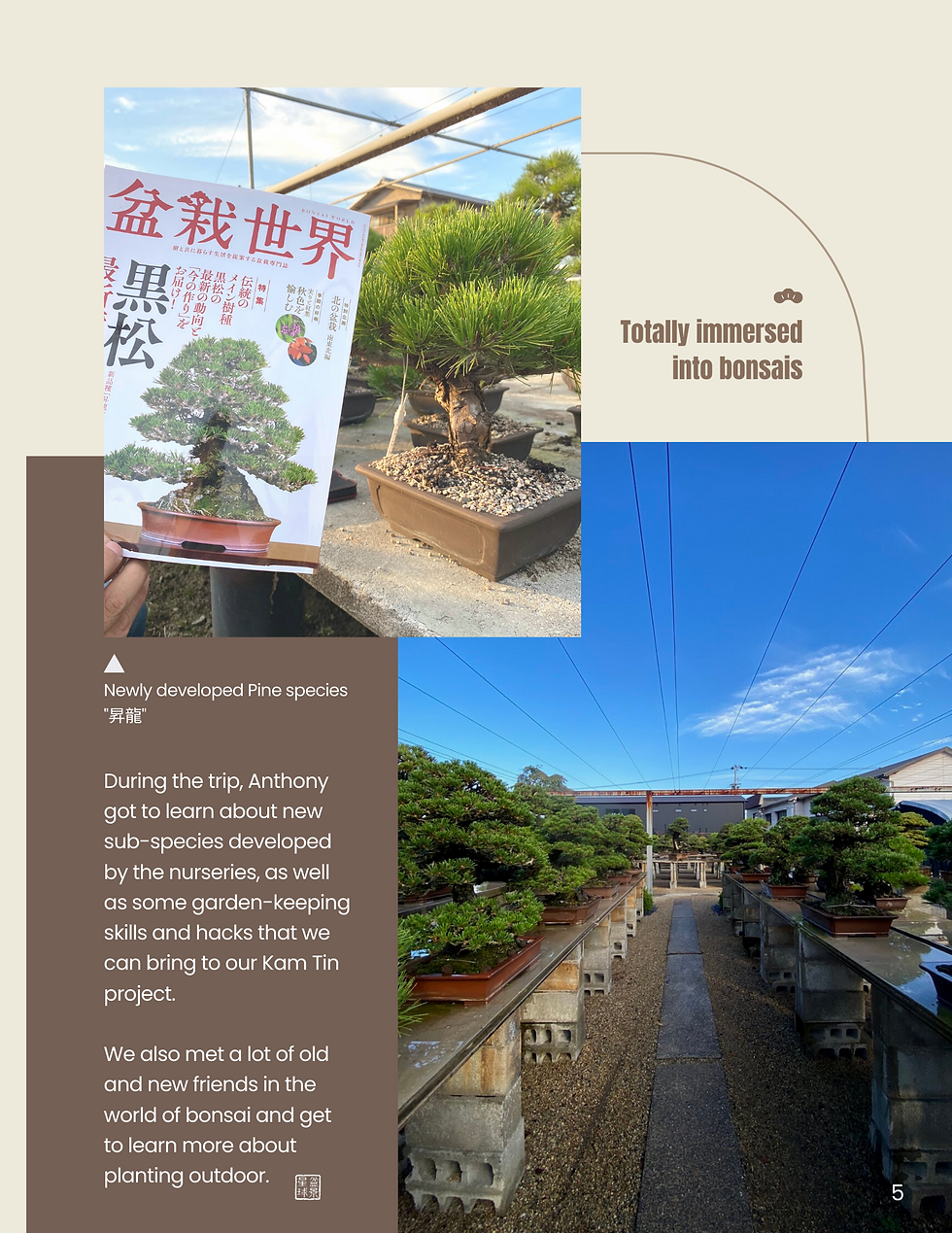 Bonsai 10 Nov 2022 BPHK's Monthly Magazine
