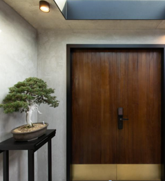 Big Pine Tree Bonsai put at the entrance of a house shown in an interior design magazine.