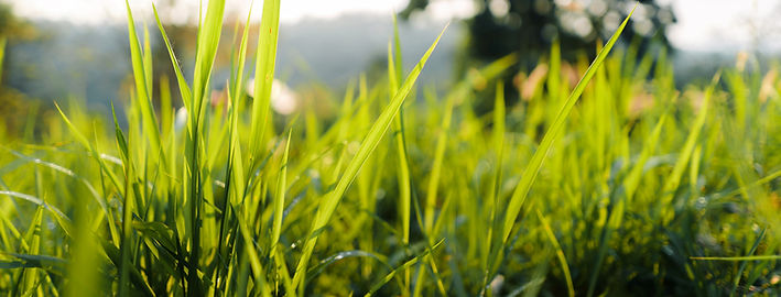 contact-header-4.jpg