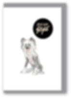 STYLISH DOG,  DOG, LONG HAIRED DOG, FUNNY CARD, HOW FUNNY
