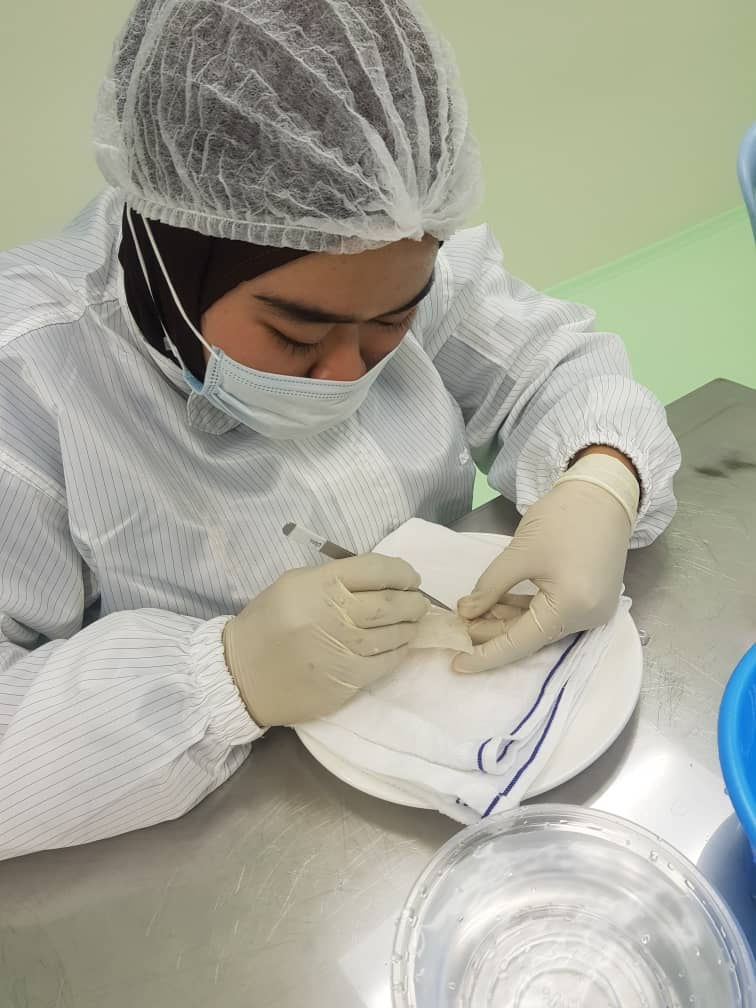 Thumbnail: 华轩天然燕窝-燕条 Bird's Nest Bird Nest HuaXuan - Yen Zhan