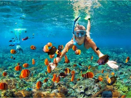 A Visual Feast of Tropical Delights