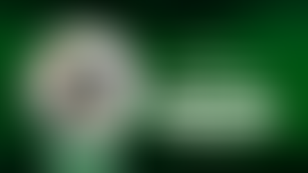 Crafting a Professional Career Page with an ATS