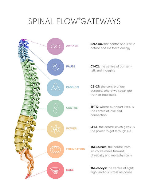 SPINAL_FLOW_GATEWAY_CHART-WHITE (1)_edit