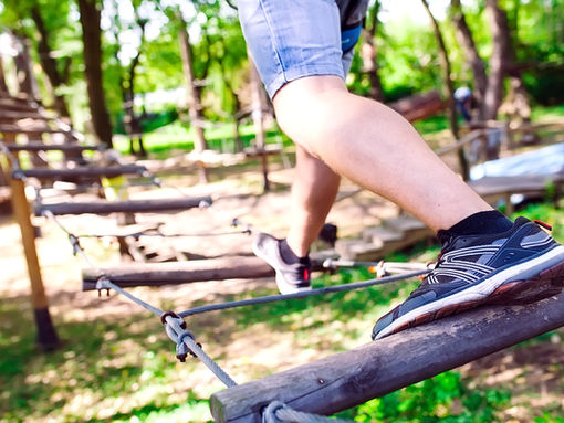 The Science behind Team Building