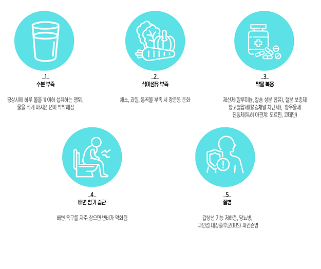 1 잘못된 식생활 섬유질이 부족한 식생활, 적은 식사량, 육식 위주, 인스턴트 음식을 많이 섭취하므로 변비가 생기기 쉽습니다. (1).png